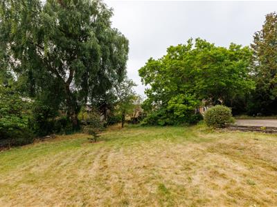 Picture 13